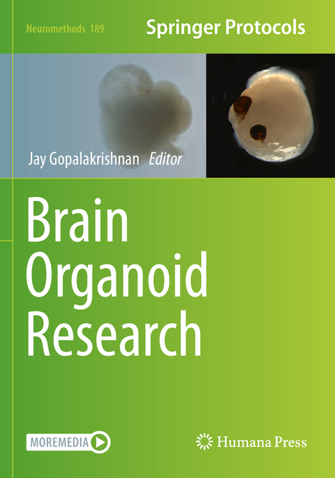 Brain Organoid Research - 