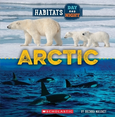 Arctic (Wild World: Habitats Day and Night) - Brenna Maloney