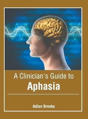 A Clinician's Guide to Aphasia - 