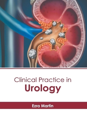 Clinical Practice in Urology - 