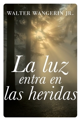 La luz entra en las heridas - Walter Wangerin Jr.