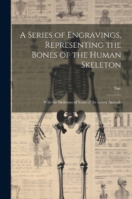 A Series of Engravings, Representing the Bones of the Human Skeleton -  Sue