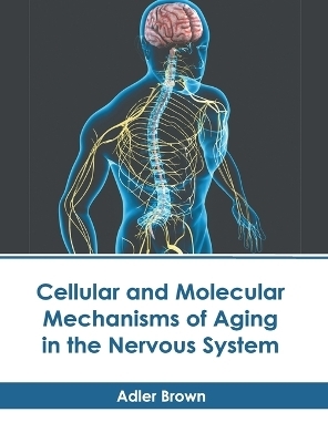 Cellular and Molecular Mechanisms of Aging in the Nervous System - 