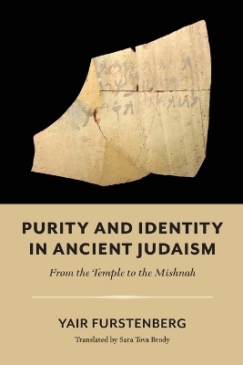 Purity and Identity in Ancient Judaism – From the Temple to the Mishnah - Yair Furstenberg, Sara Tova Brody