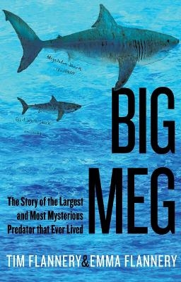 Big Meg - Tim Flannery, Emma Flannery