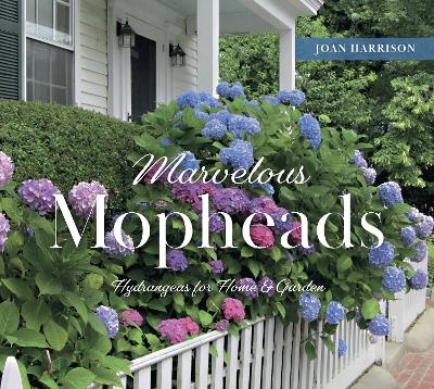 Marvelous Mopheads - Joan Harrison