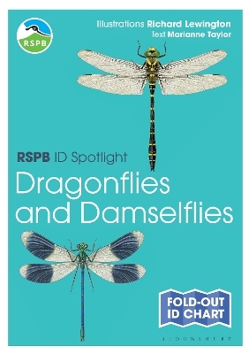 RSPB ID Spotlight - Dragonflies and Damselflies - Marianne Taylor