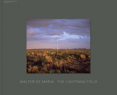 Walter De Maria - The Lightning Field - 
