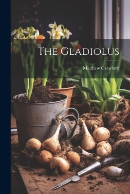 The Gladiolus - Matthew Crawford