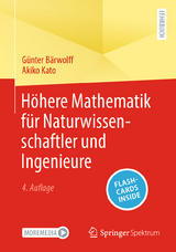Höhere Mathematik für Naturwissenschaftler und Ingenieure - Bärwolff, Günter; Kato, Akiko