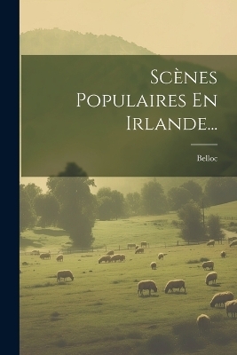 Scènes Populaires En Irlande... - 