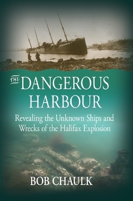 The Dangerous Harbour - Bob Chaulk