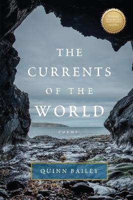 The Currents of the World - Quinn Bailey