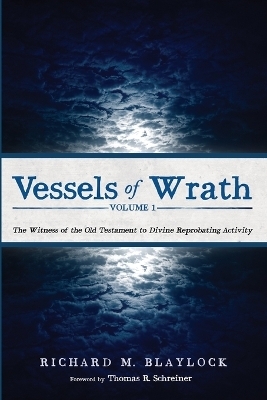 Vessels of Wrath, Volume 1 - Richard M Blaylock
