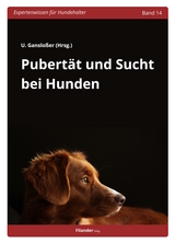 Pubertät und Sucht bei Hunden - 