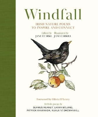 Windfall - Jane Clarke