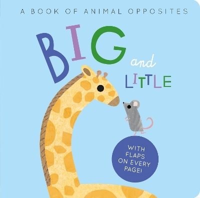 Big and Little - Harriet Evans