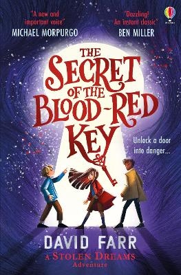 The Secret of the Blood-Red Key - David Farr