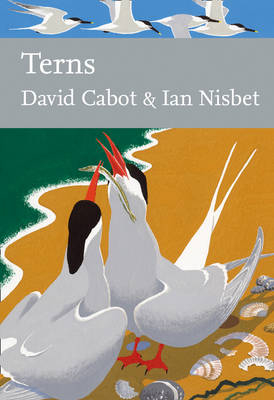 Terns -  David Cabot,  Ian Nisbet