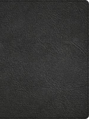 CSB Men of Character Bible, Revised and Updated, Black Genuine Leather -  Csb Bibles by Holman, Gene A Getz