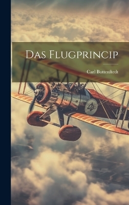 Das Flugprincip - Carl Buttenftedt