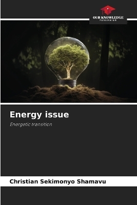 Energy issue - Christian SEKIMONYO SHAMAVU