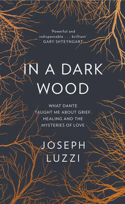 In a Dark Wood -  Joseph Luzzi