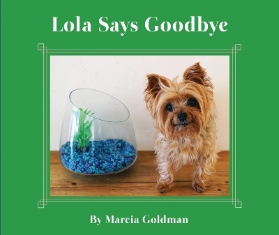 Lola Says Goodbye - Marcia Goldman