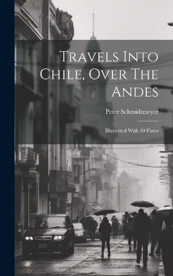 Travels Into Chile, Over The Andes - Peter Schmidtmeyer