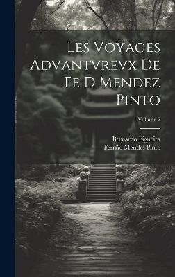 Les Voyages Advantvrevx De Fe D Mendez Pinto; Volume 2 - Fernão Mendes Pinto, Bernardo Figueira