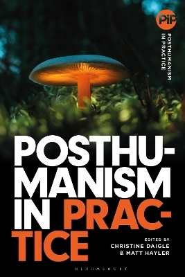 Posthumanism in Practice - 