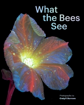 What the Bees See - Craig P. Burrows