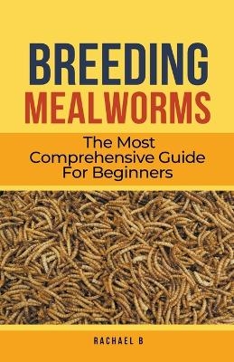 Breeding Mealworms - Rachael B