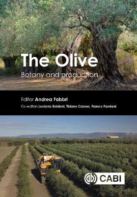 The Olive - 