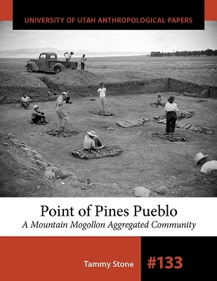 Point of Pines Pueblo - Tammy Stone