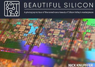 Beautiful Silicon - Nicholas Knupffer
