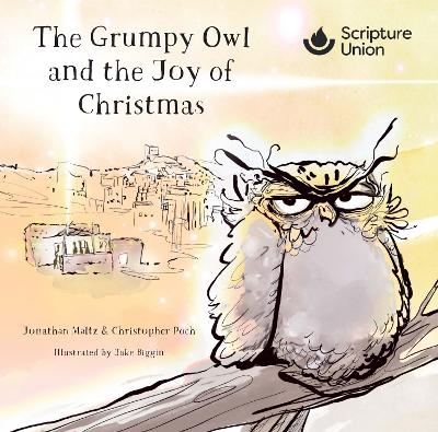 The The Grumpy Owl and the Joy of Christmas (10 pack) - Jonathan Maltz, Christopher Poch