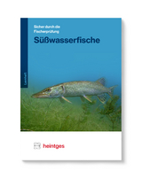 Süßwasserfische - 