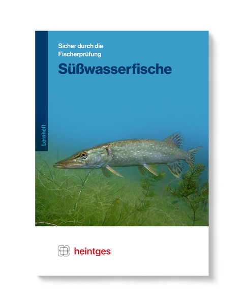 Süßwasserfische - 