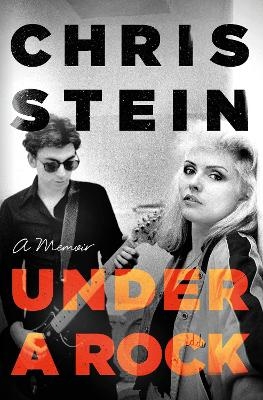 Under A Rock - Chris Stein