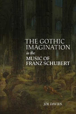 The Gothic Imagination in the Music of Franz Schubert - Joe Davies