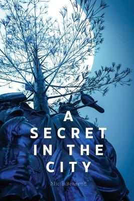 A secret in the city - Alicia Behrend