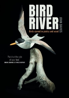 Bird River - John Davies