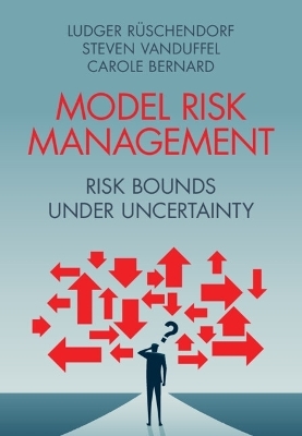 Model Risk Management - Ludger Rüschendorf, Steven Vanduffel, Carole Bernard