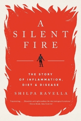 A Silent Fire - Shilpa Ravella