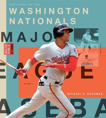 Washington Nationals - Michael E Goodman