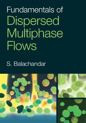 Fundamentals of Dispersed Multiphase Flows - S. Balachandar