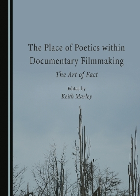 The Place of Poetics within Documentary Filmmaking - 