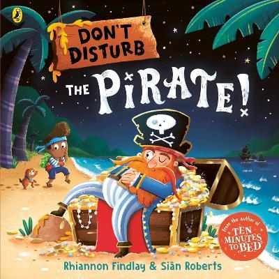 Don’t Disturb The Pirate - Rhiannon Findlay