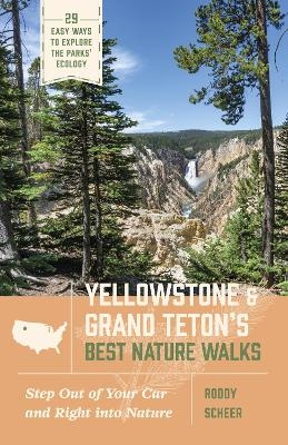 Yellowstone and Grand Teton’s Best Nature Walks - Roddy Scheer